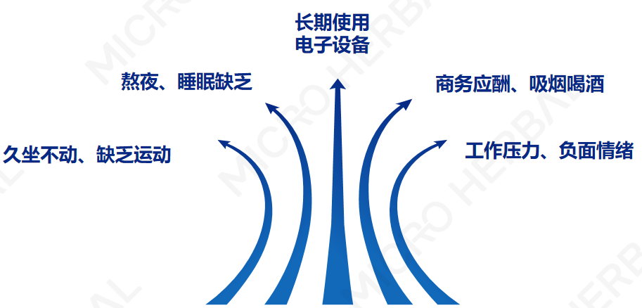 云顶集团·(中国)首页登录